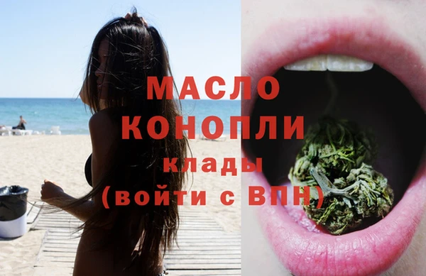 сатива Зерноград