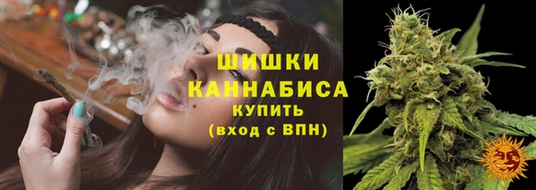 сатива Зерноград