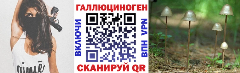 Галлюциногенные грибы Magic Shrooms  маркетплейс телеграм  Кировград 